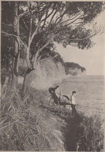 THE WHITE AND WOODED CLIFFS OF MISSISSIPPI BAY